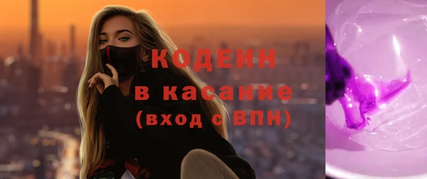 гашик Каменка