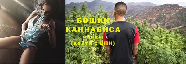 PSILOCYBIN Слюдянка