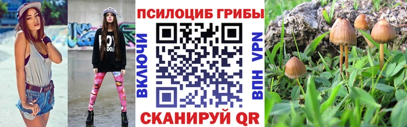 Псилоцибиновые грибы мухоморы  сколько стоит  Люберцы 