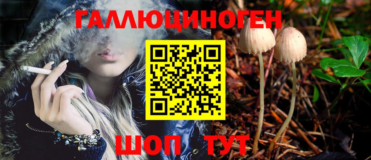 Галлюциногенные грибы Psilocybe Люберцы