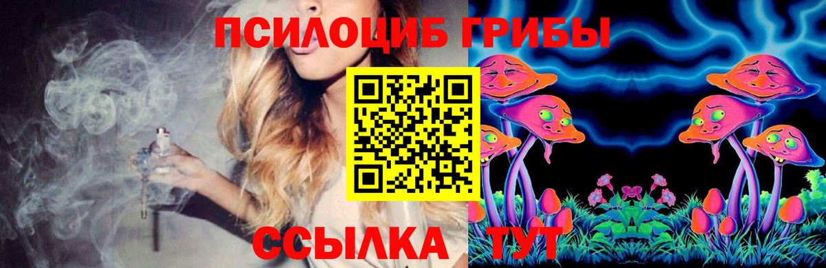 Псилоцибиновые грибы Cubensis  Люберцы 